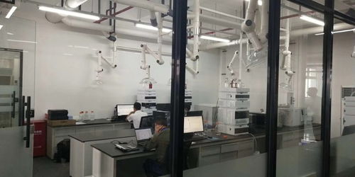 閔行獨棟1350平可分割精裝修廠房 一站式解決倉儲、生產與土地需求